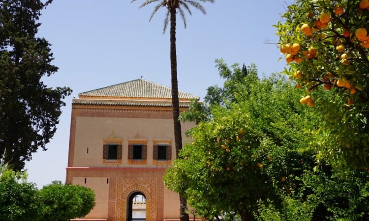 image not found